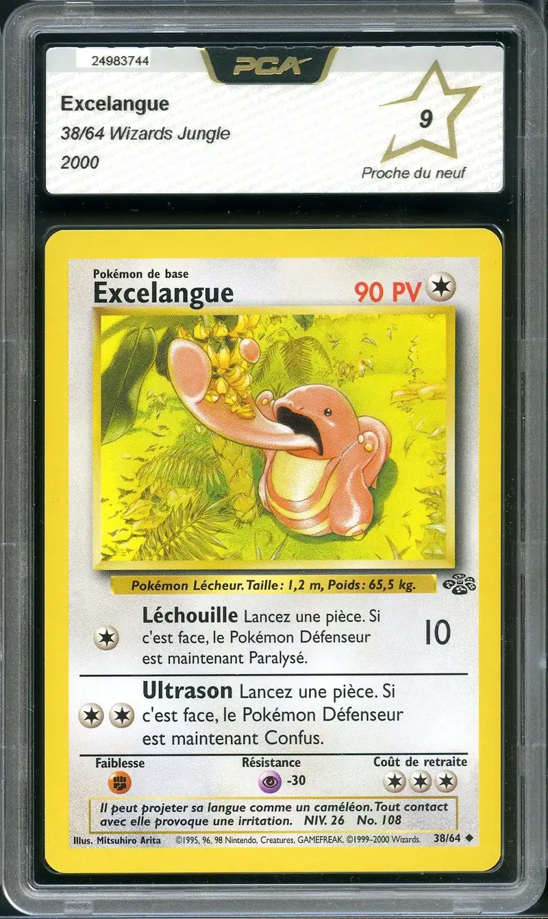 PCA 9 Excelangue