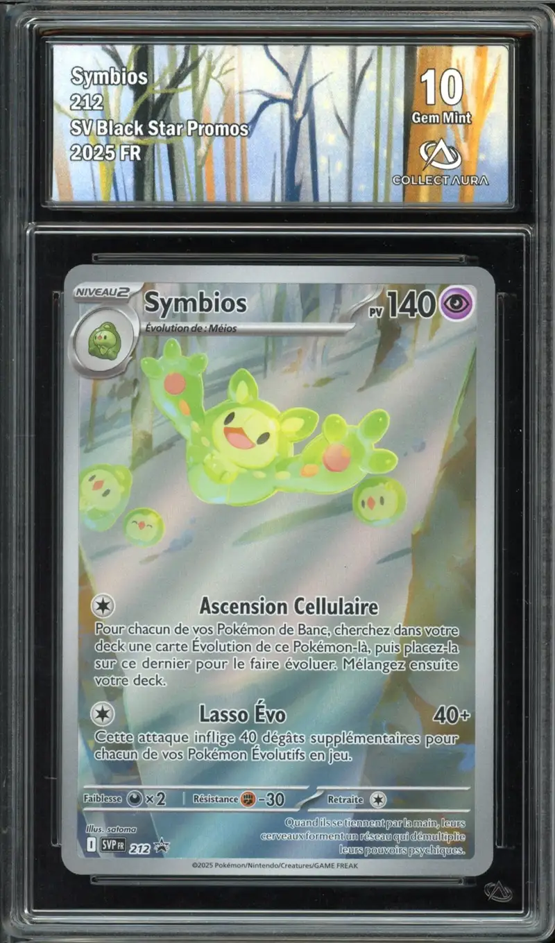 CA 10 Symbios