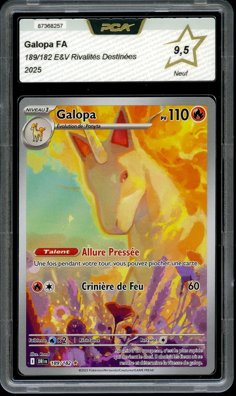 PCA 9.5 Galopa