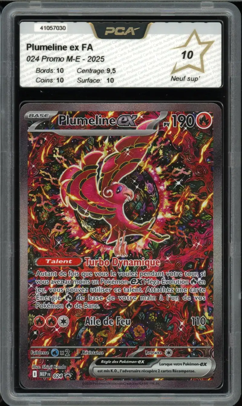 PCA 10 Plumeline Ex