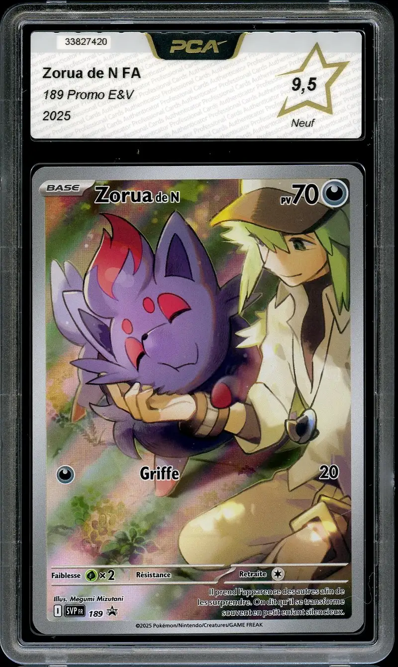 PCA 9.5 Zorua de N