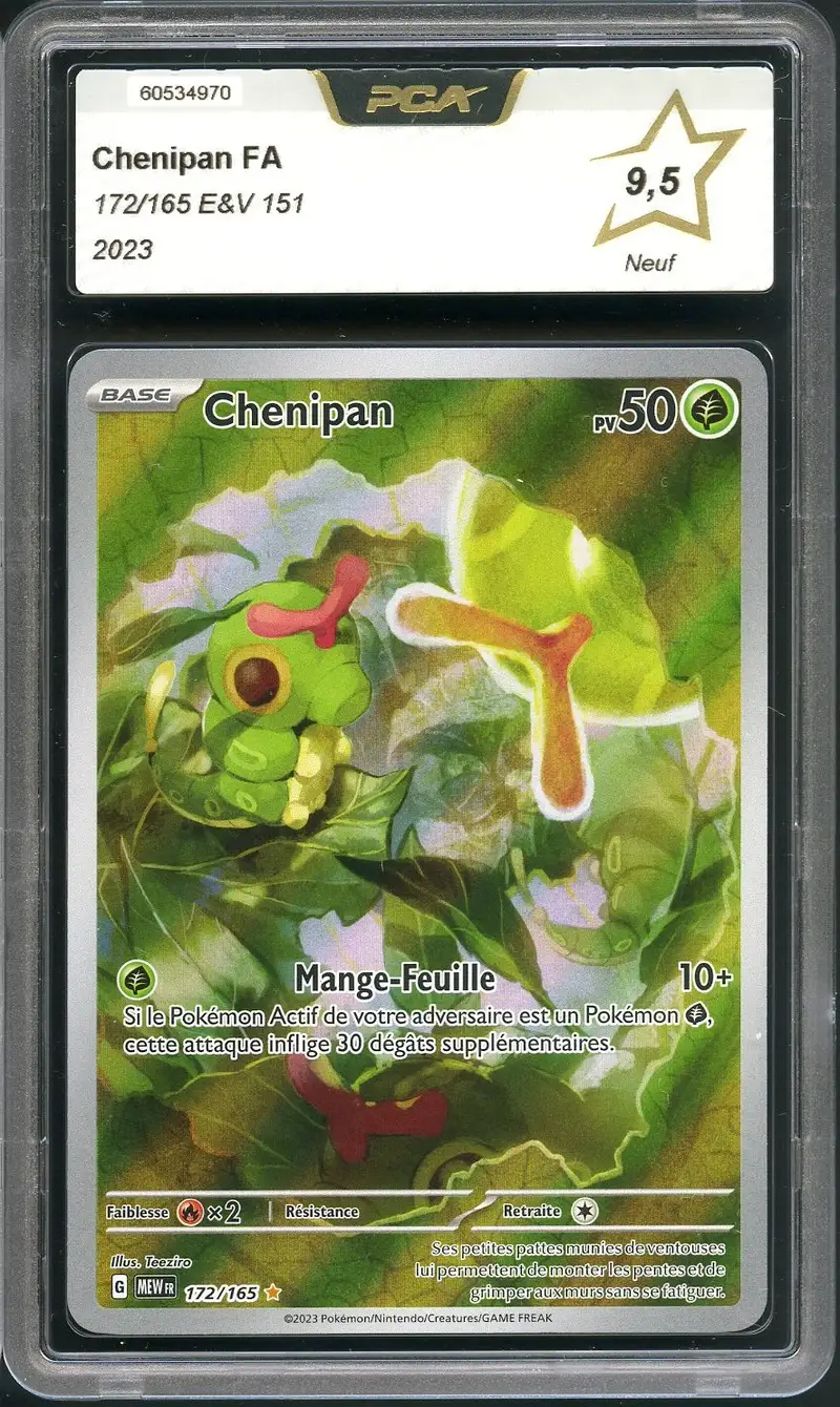 PCA 9.5 Chenipan
