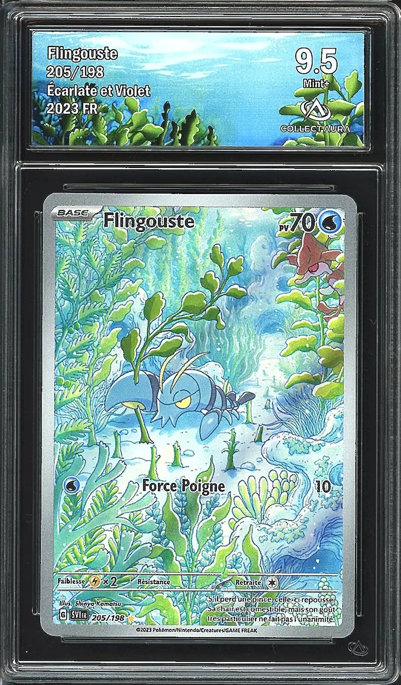 CA 9.5 Flingouste