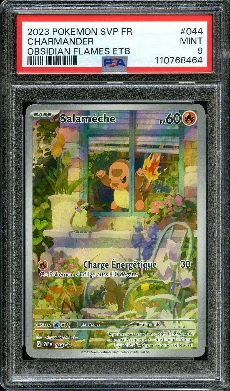 PSA 9 Salamèche