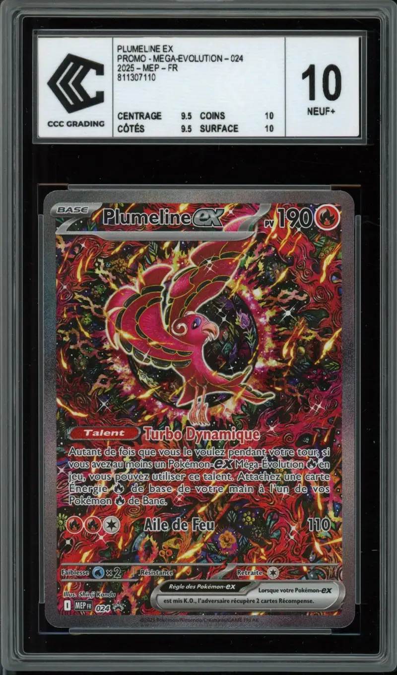 CCC 10 Plumeline Ex