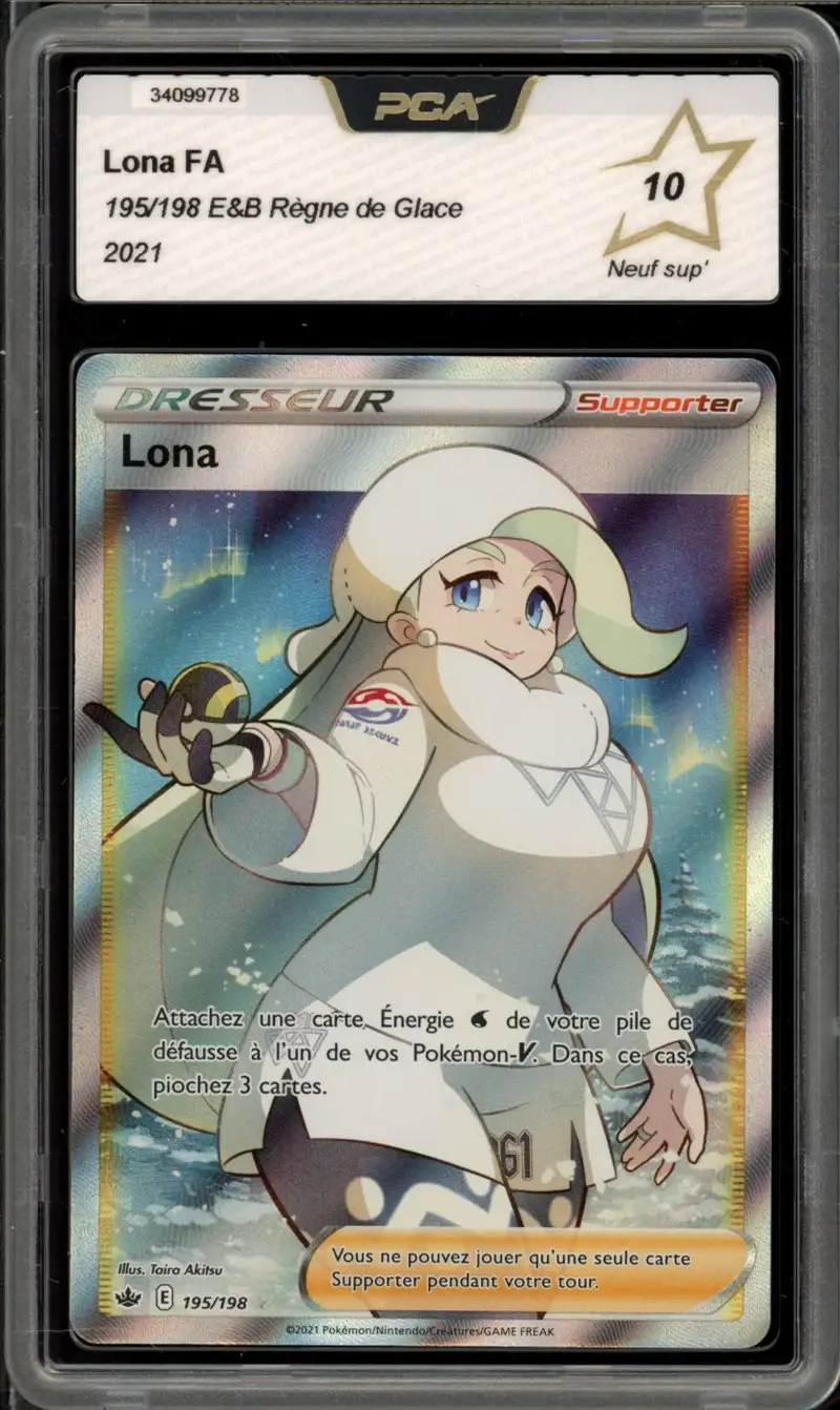 PCA 10 Lona
