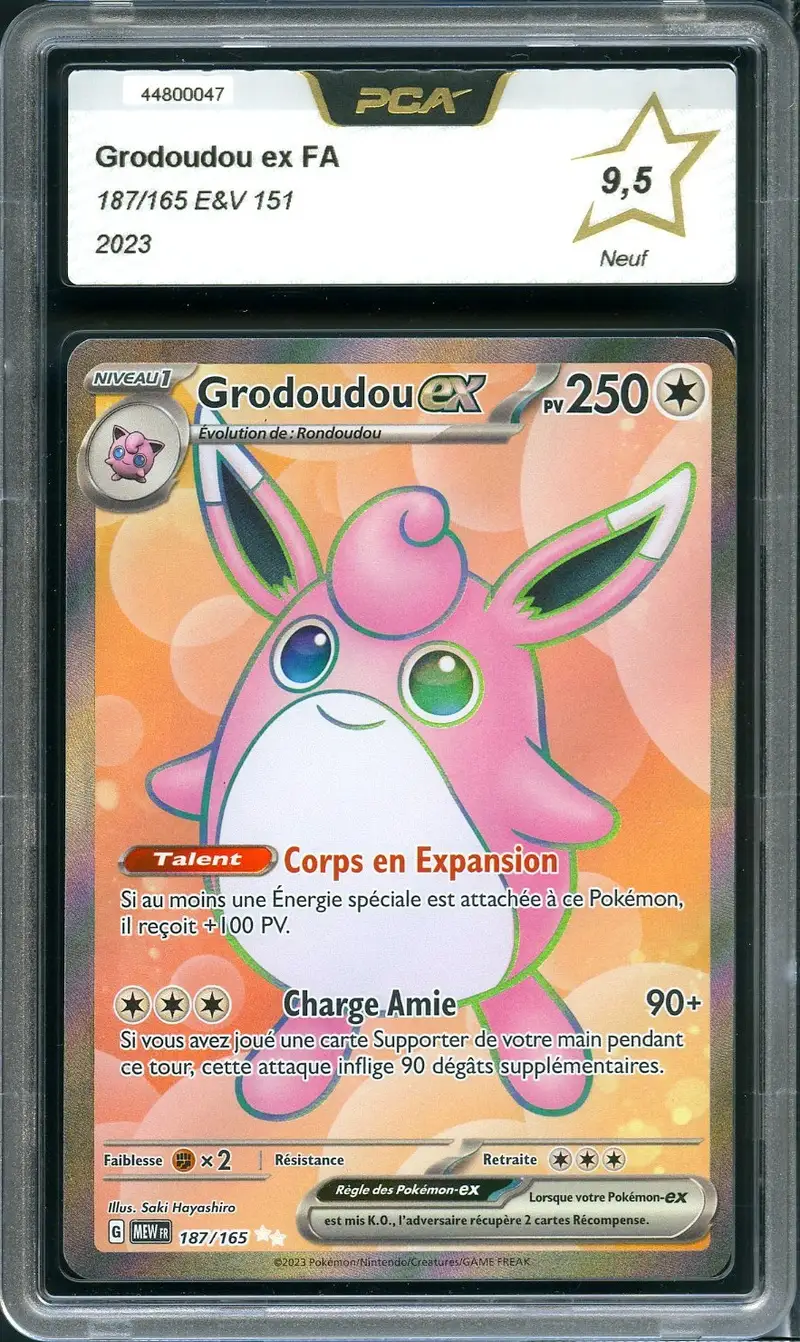 PCA 9.5 Grodoudou Ex