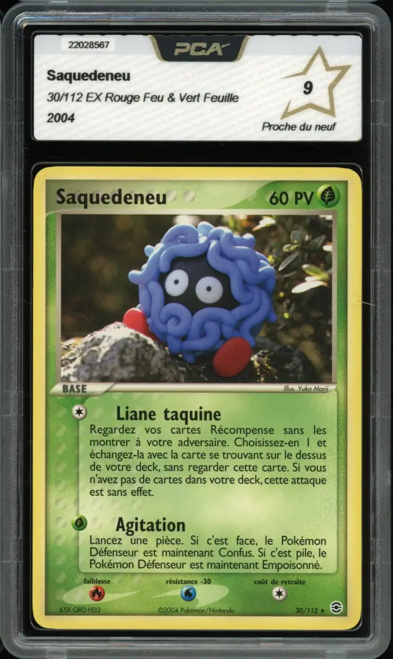 PCA 9 Saquedeneu