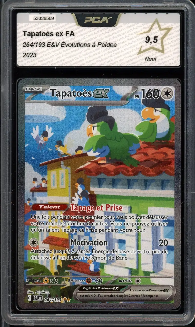 PCA 9.5 Tapatoès Ex