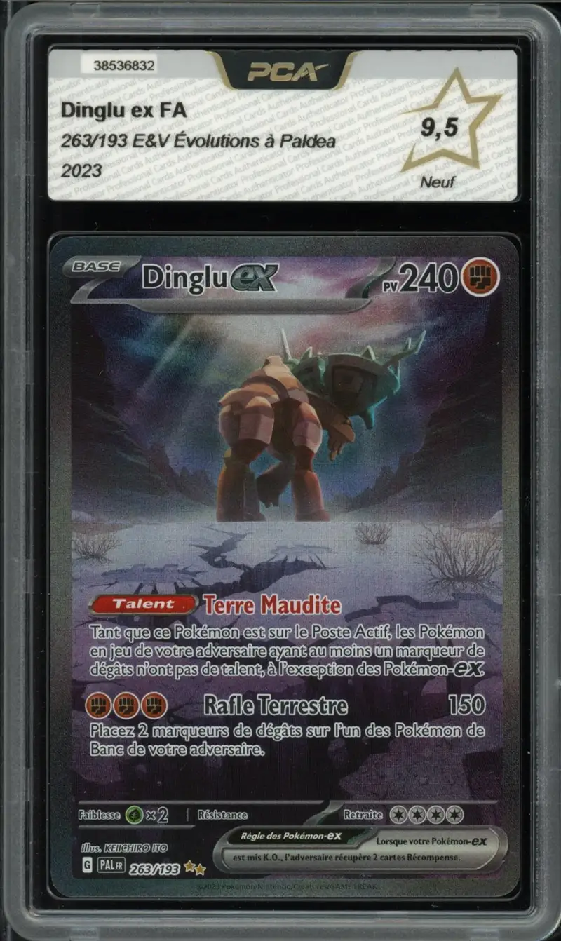 PCA 9.5 Dinglu Ex