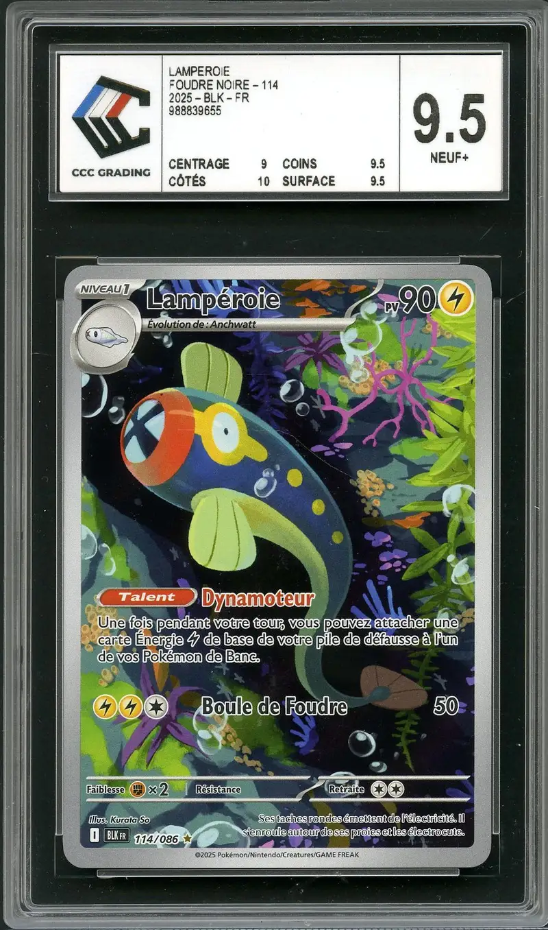 CCC 9.5 Lampéroie