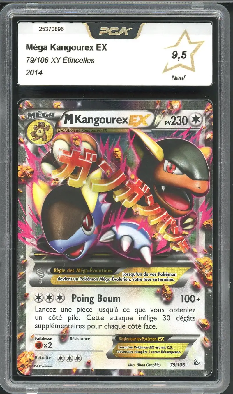 PCA 9.5 Méga Kangourex Ex