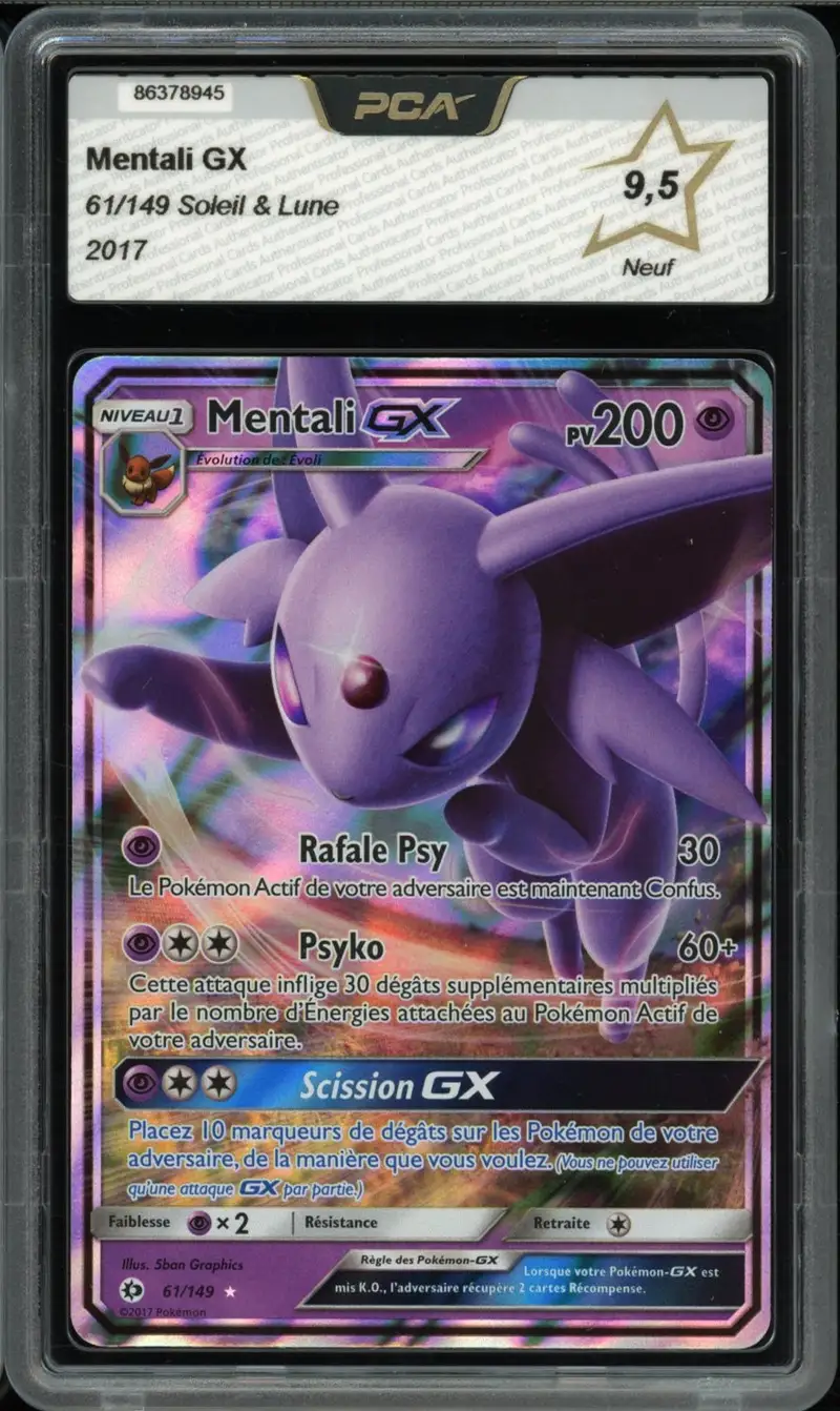 PCA 9.5 Mentali Gx