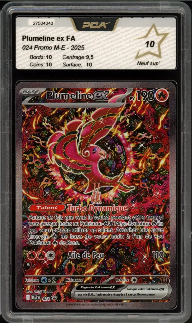 PCA 10 Plumeline Ex