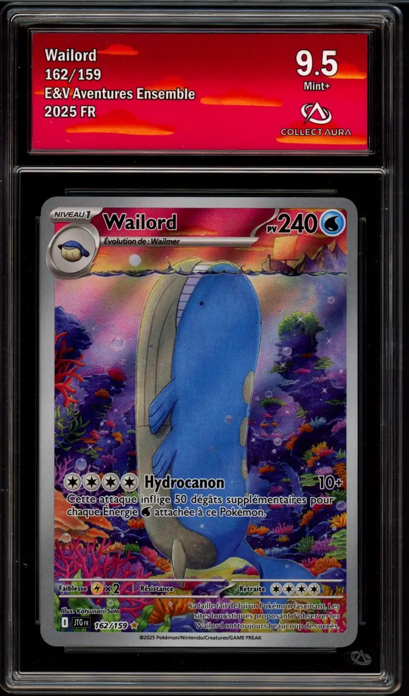 CA 9.5 Wailord