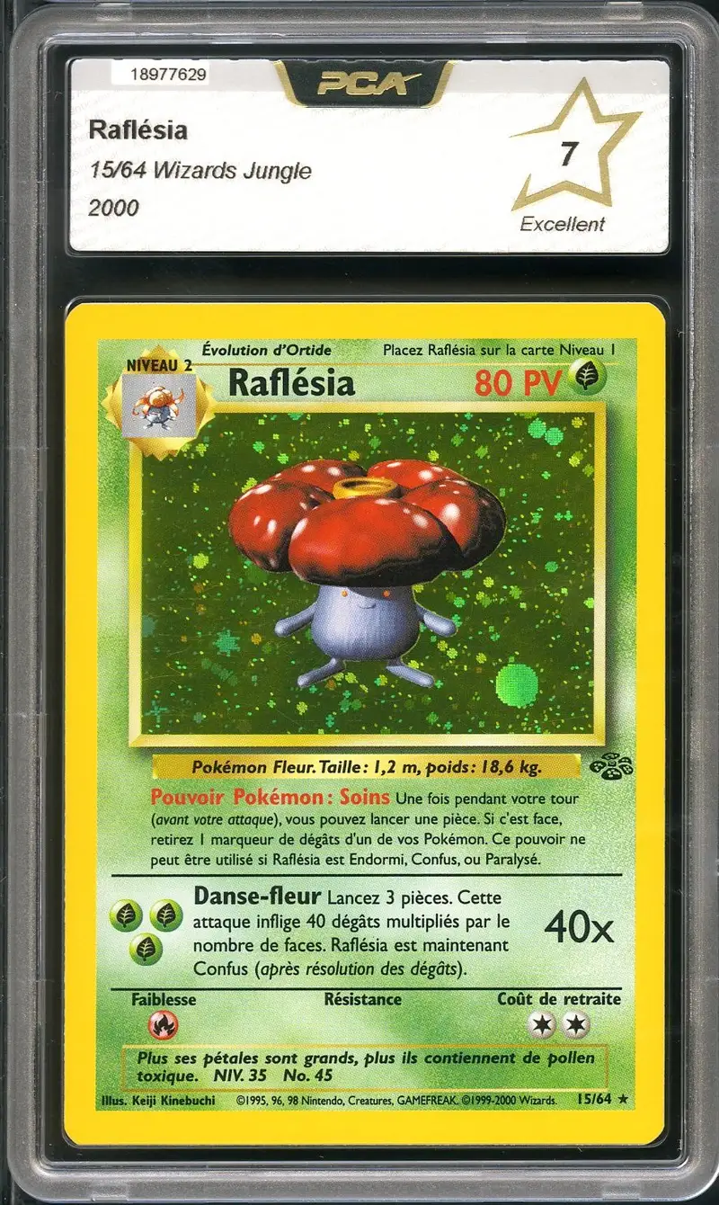 PCA 7 Raflésia Holo