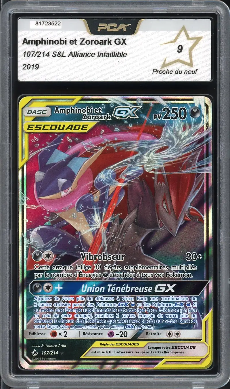 PCA 9 Amphinobi et Zoroark Gx