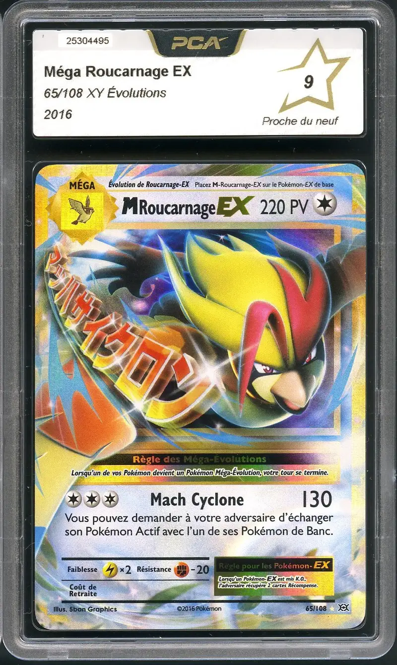 PCA 9 Méga Roucarnage Ex