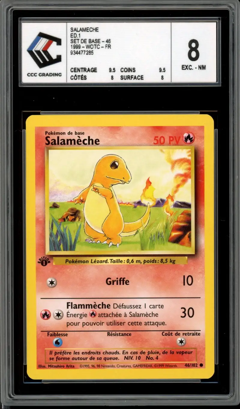 CCC 8 Salamèche