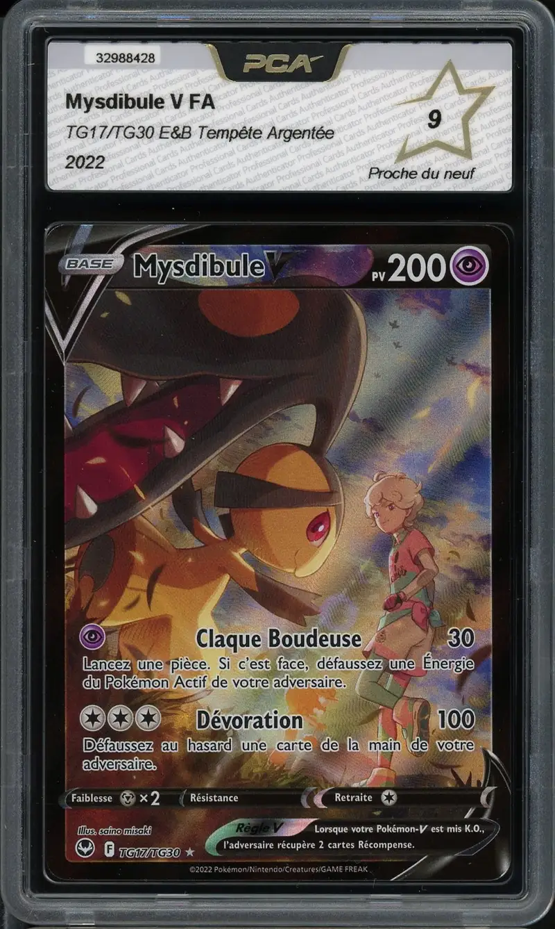 PCA 9 Mysdibule V