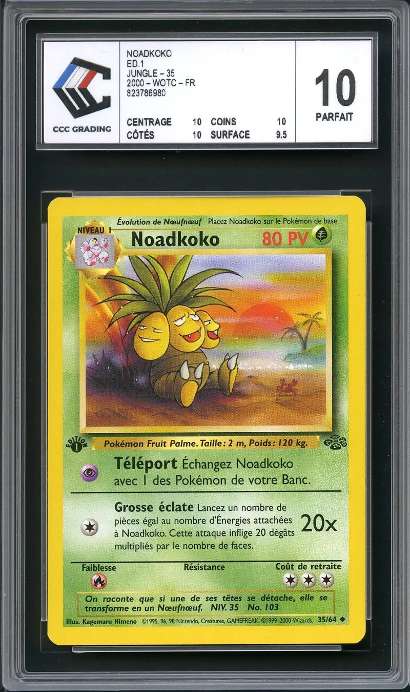 CCC 10 Noadkoko