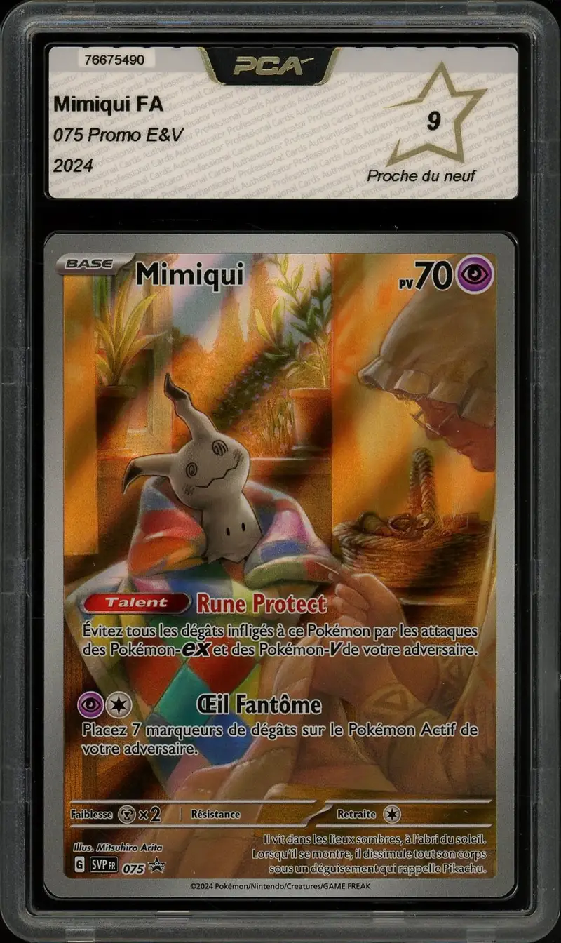 PCA 9 Mimiqui