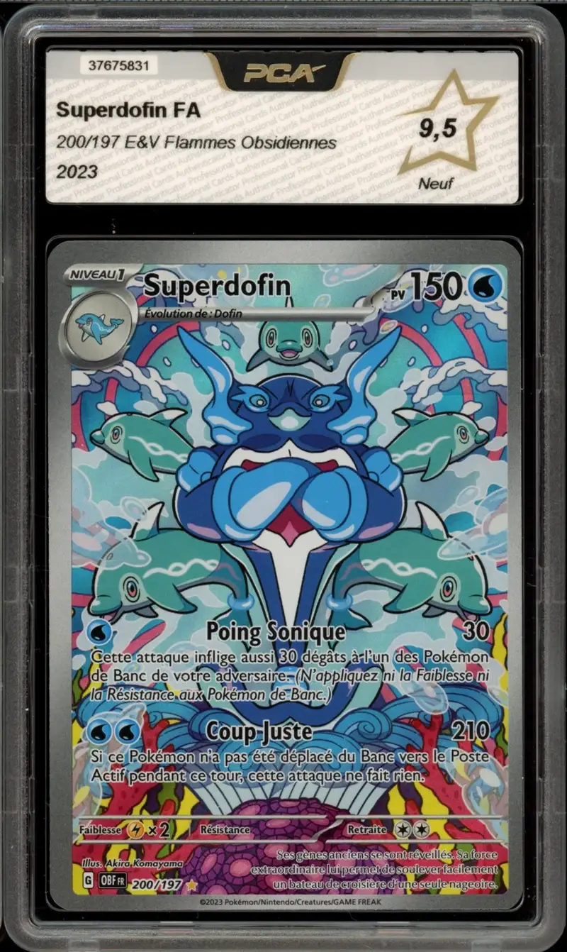 PCA 9.5 Superdofin
