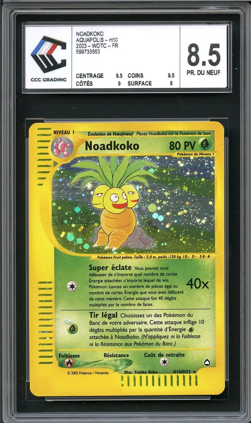 CCC 8.5 Noadkoko Holo