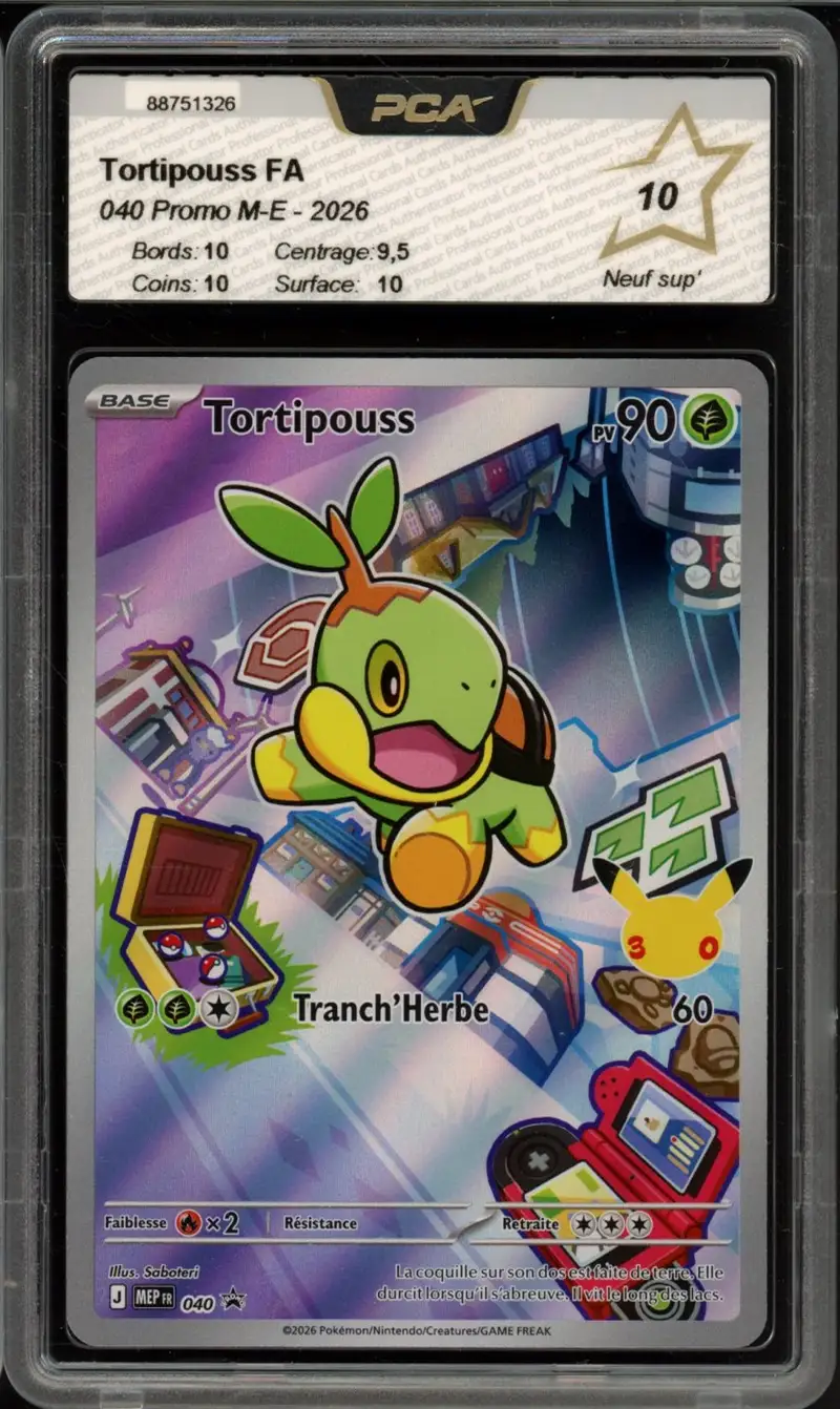 PCA 10 Tortipouss