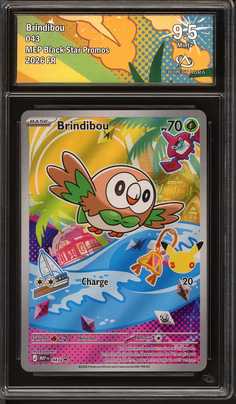 CA 9.5 Brindibou