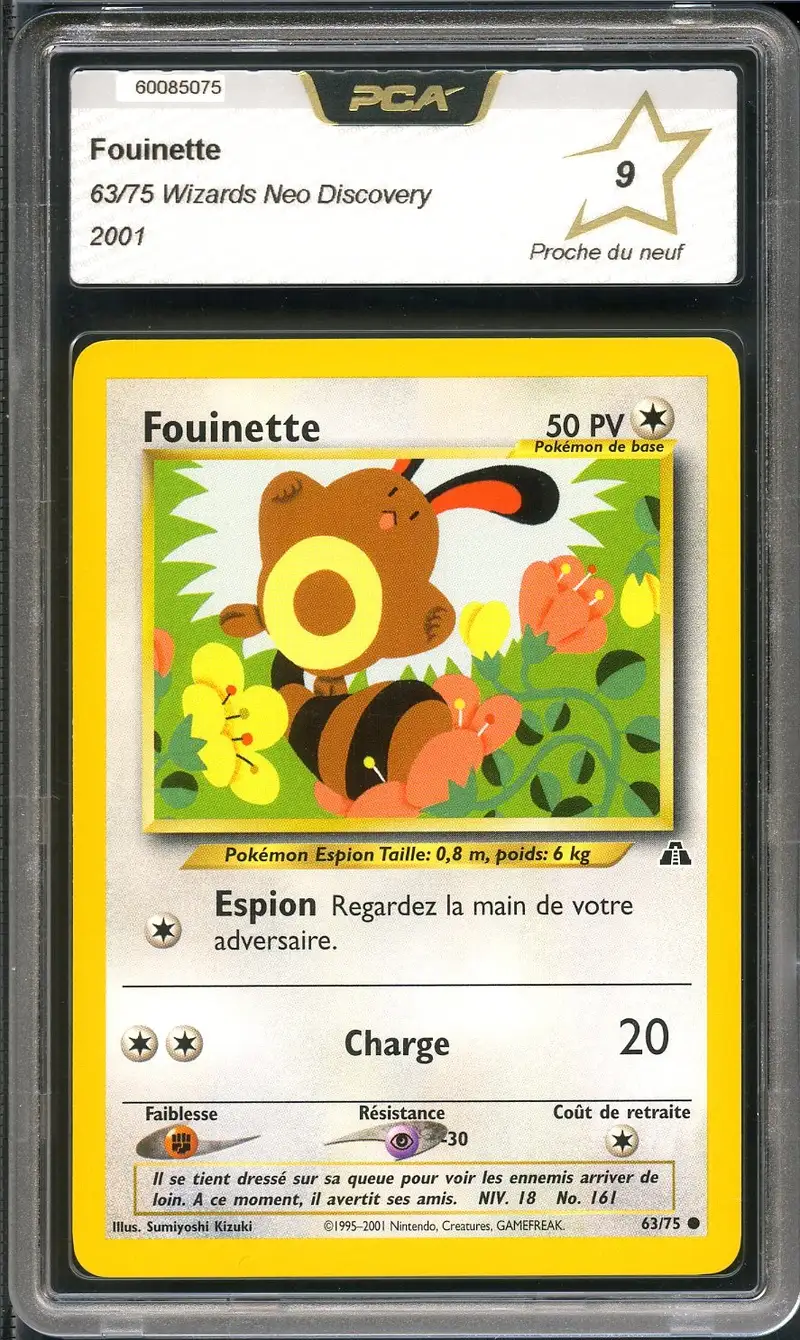 PCA 9 Fouinette