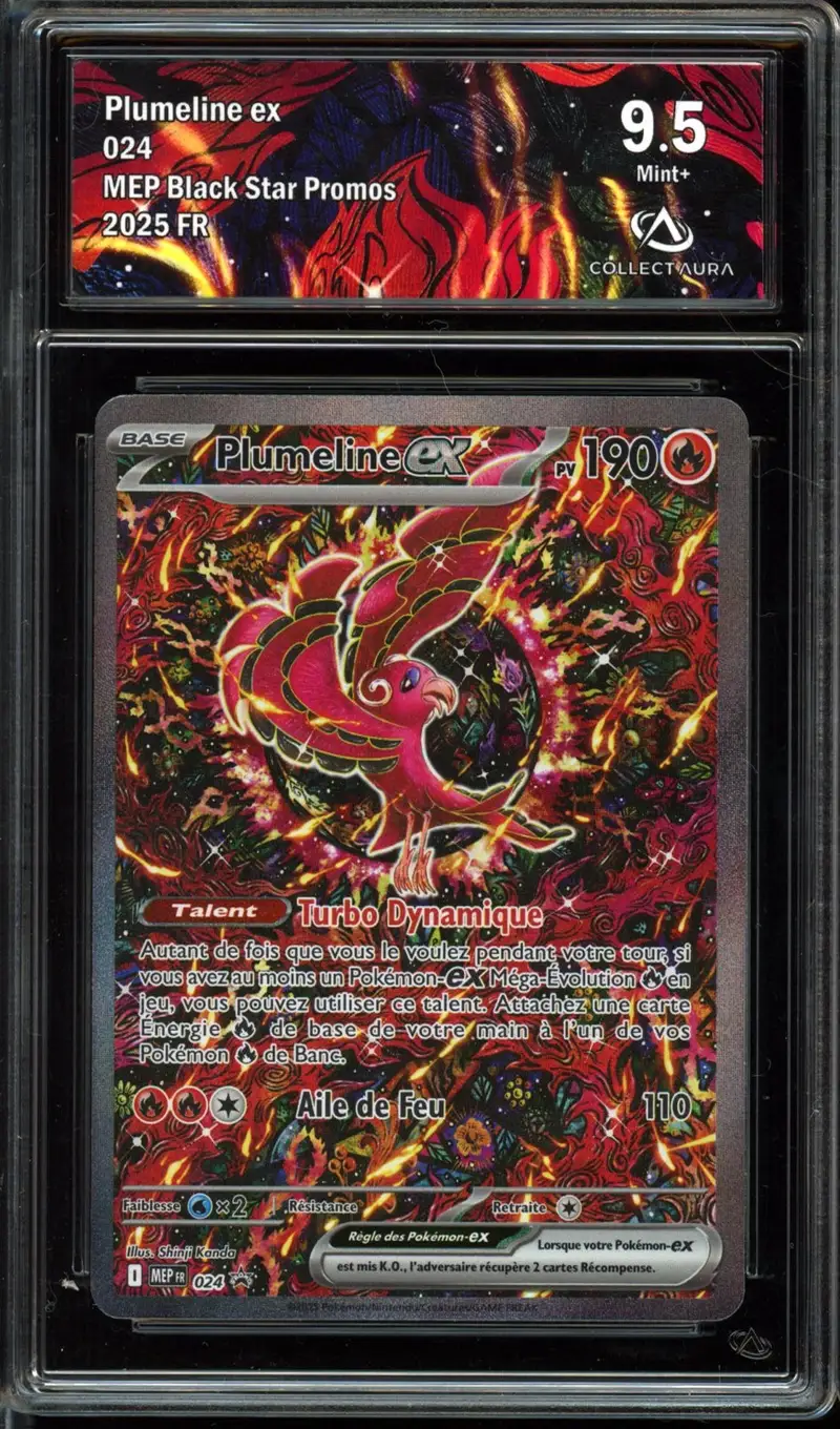 CA 9.5 Plumeline Ex