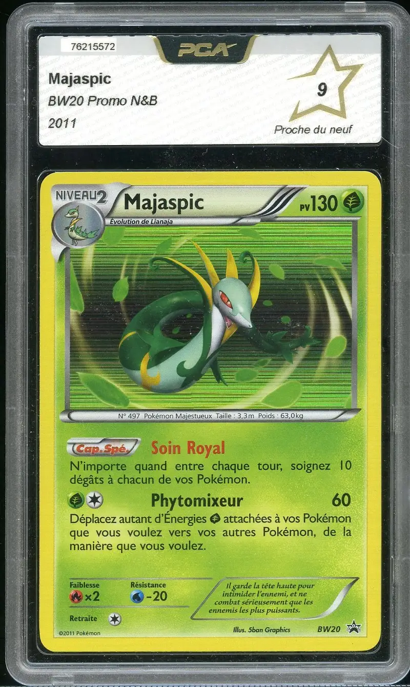 PCA 9 Majaspic Holo