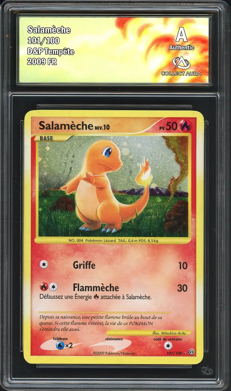 CA Auth Salamèche Holo