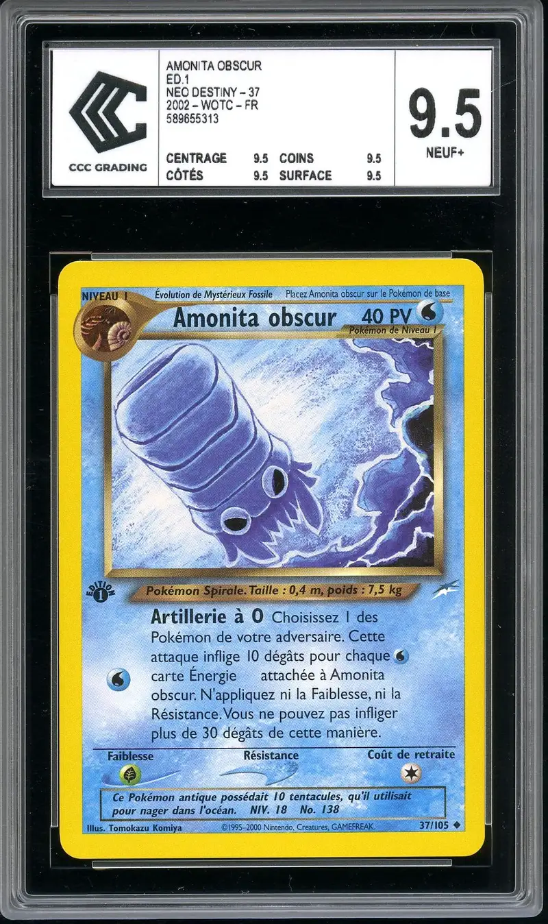 CCC 9.5 Amonita Obscur