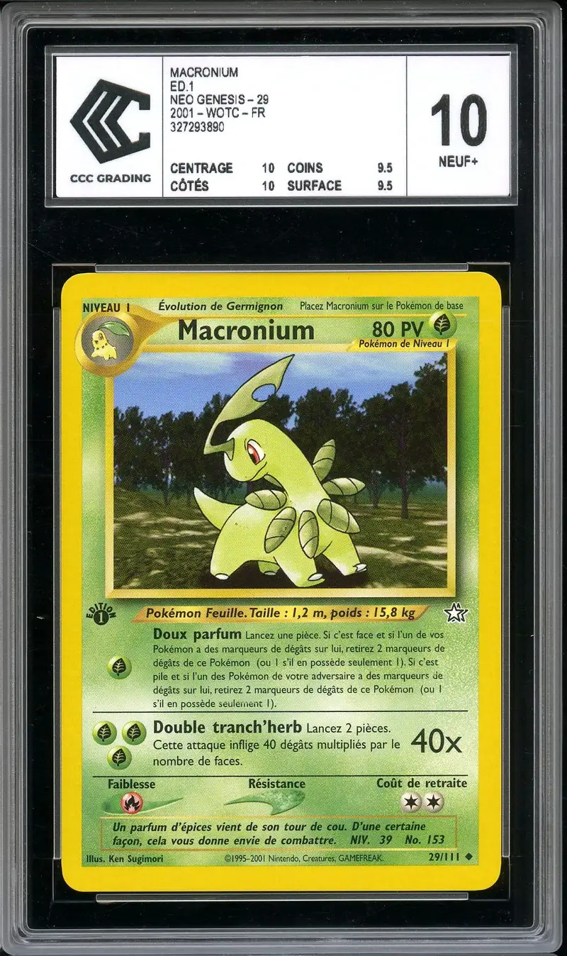 CCC 10 Macronium