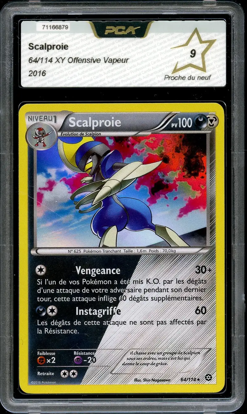 PCA 9 Scalproie Holo