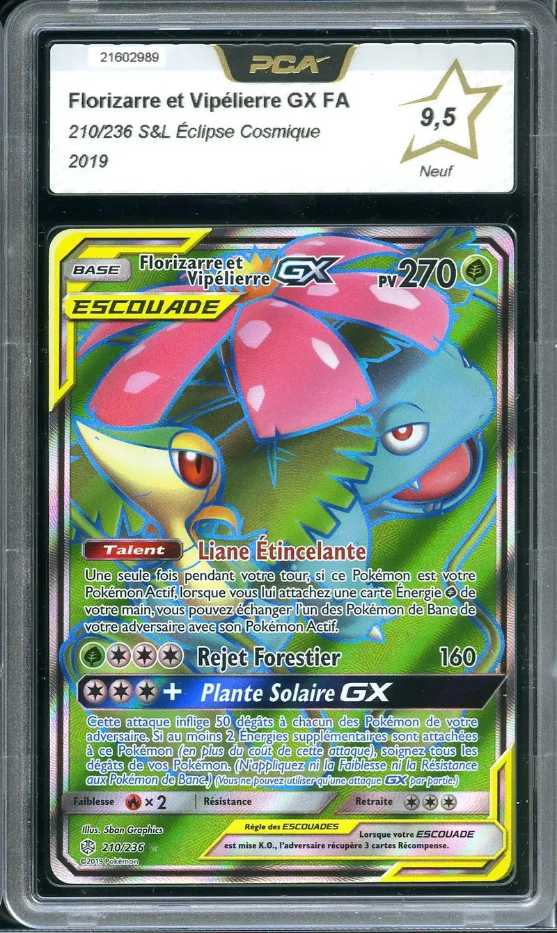 PCA 9.5 Florizarre et Vipélierre Gx