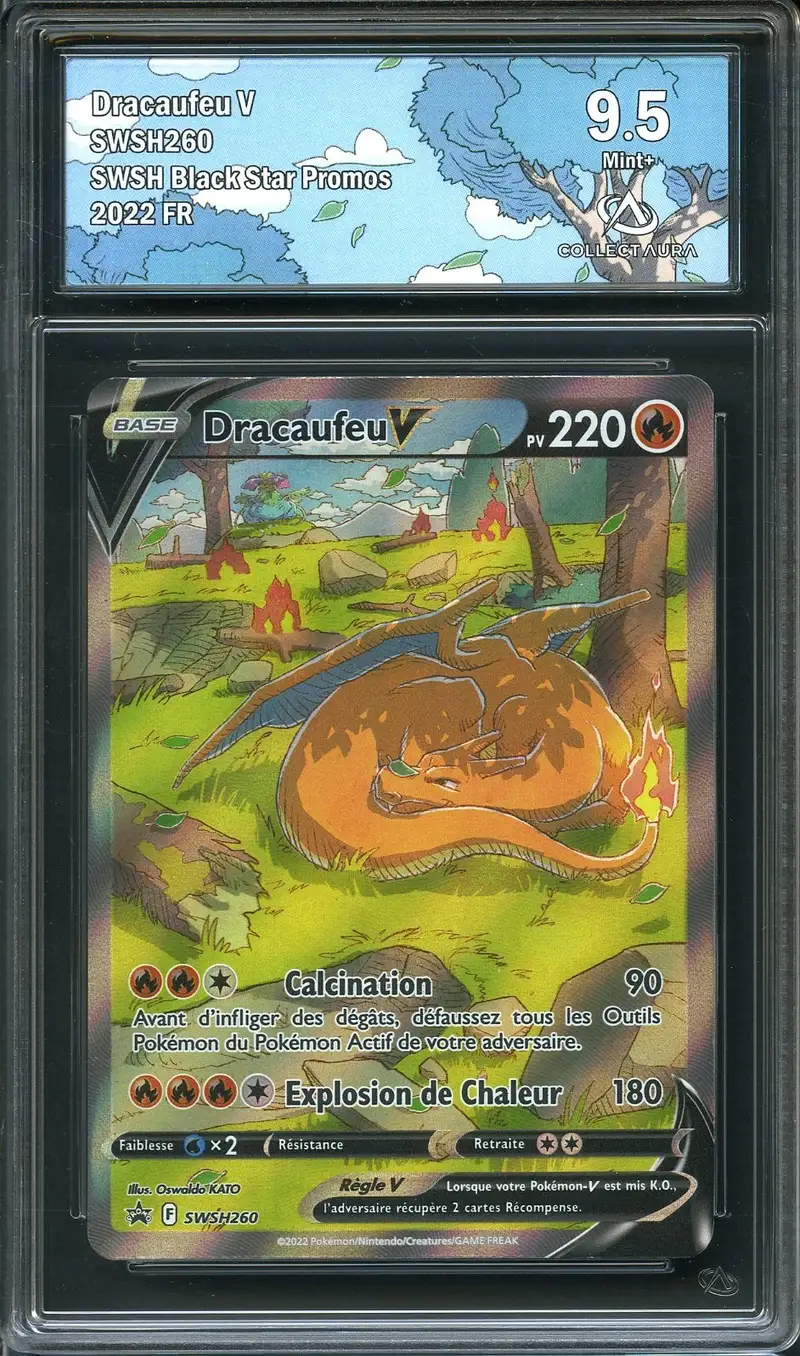 CA 9.5 Dracaufeu V