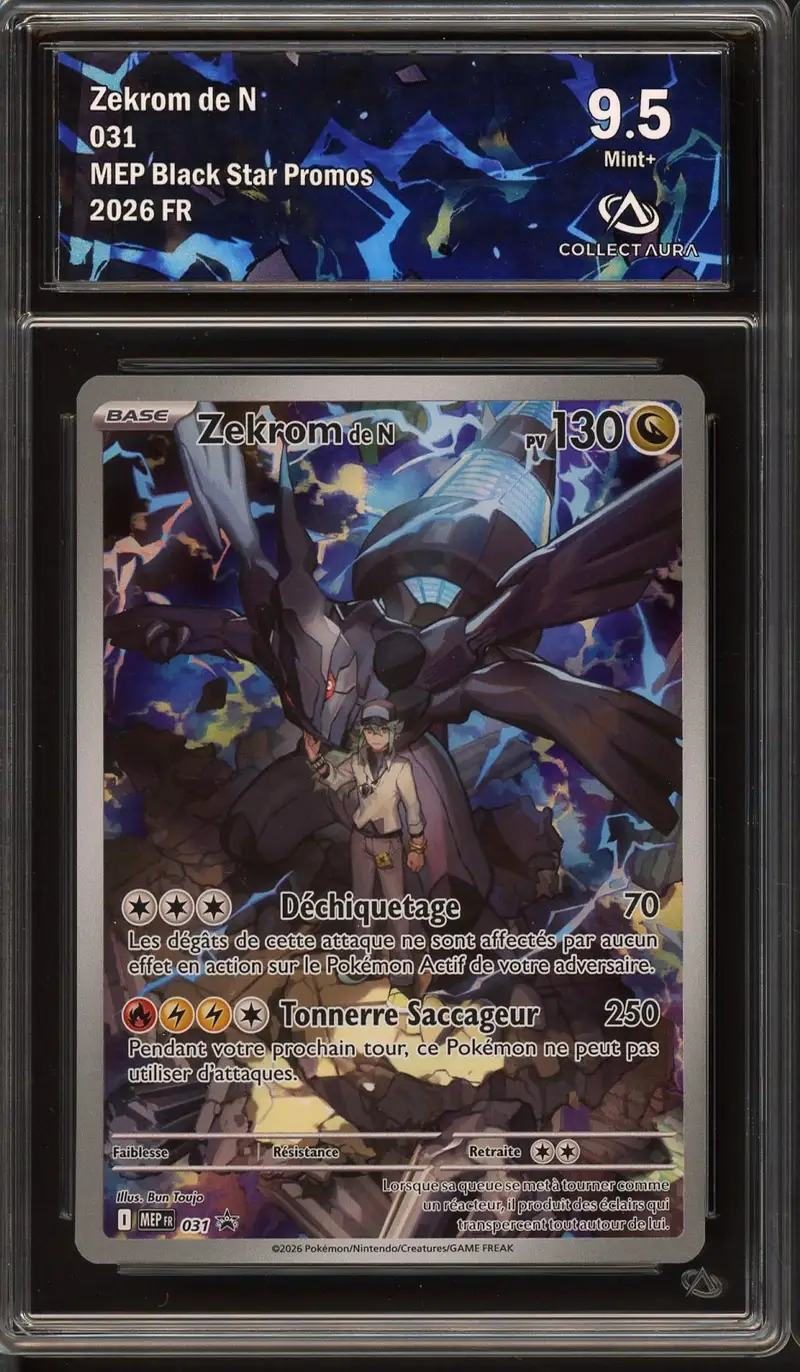 CA 9.5 Zekrom de N