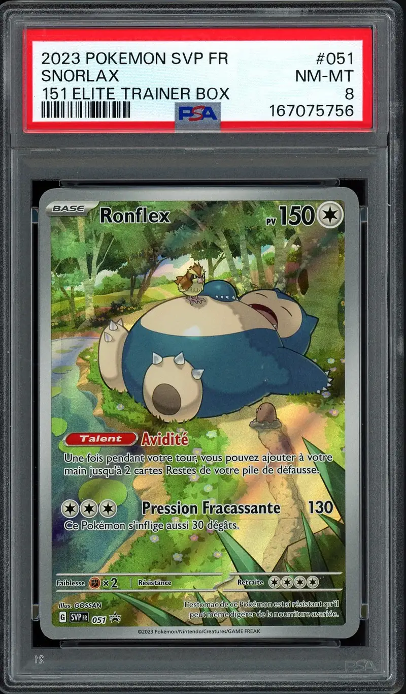 PSA 8 Ronflex