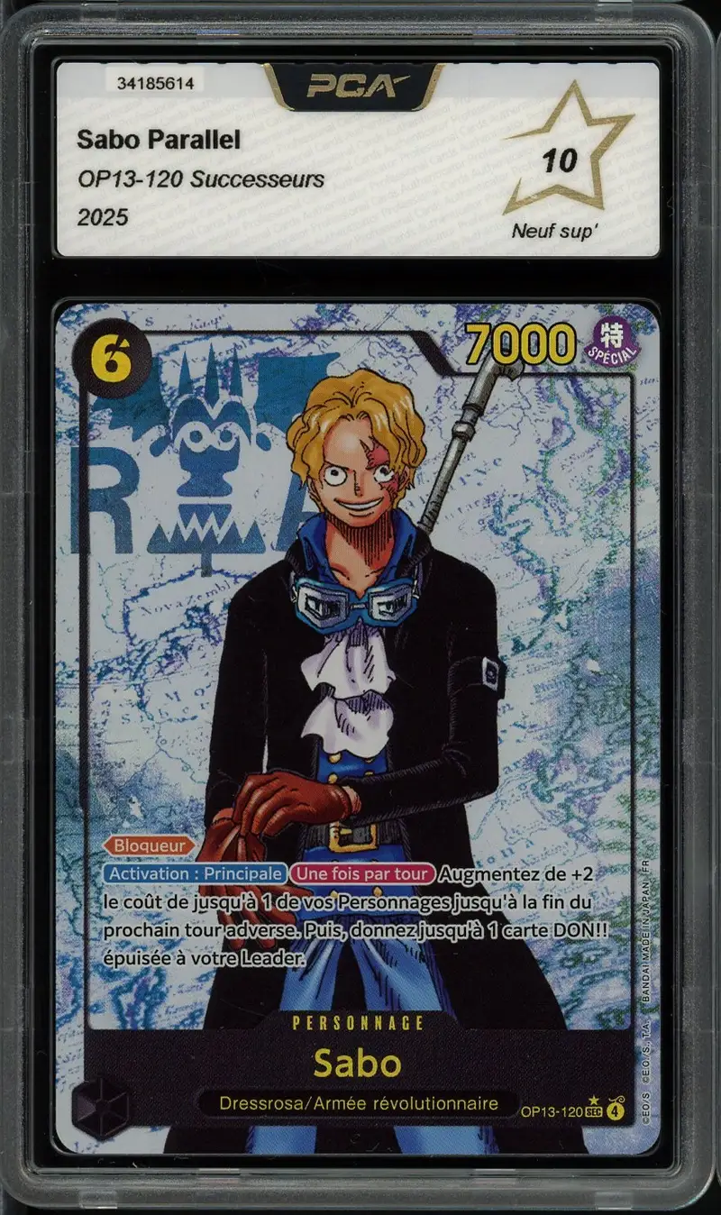 PCA 10 Sabo