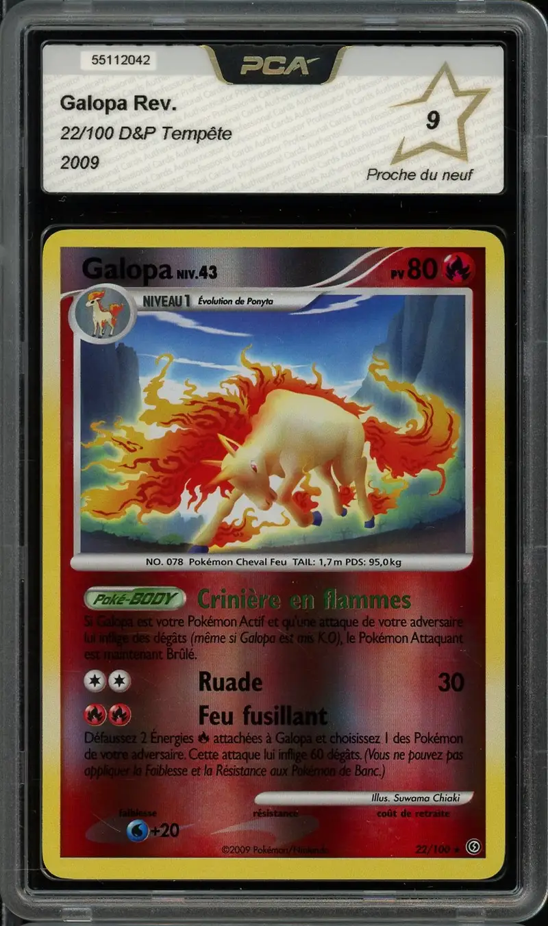 PCA 9 Galopa Reverse