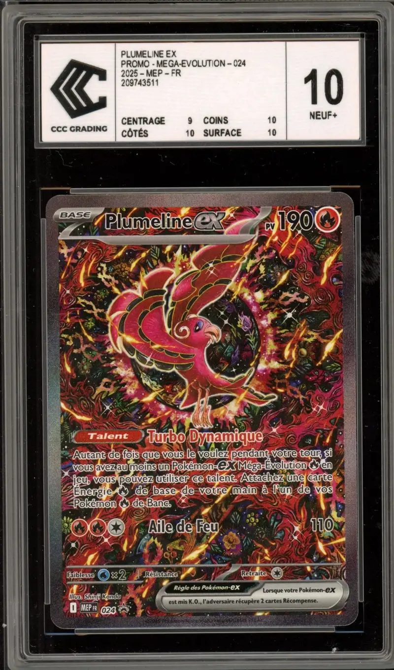 CCC 10 Plumeline Ex
