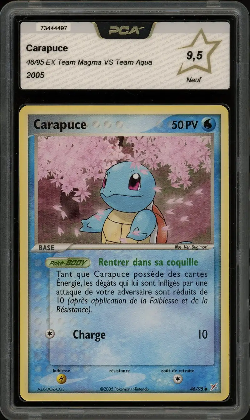 PCA 9.5 Carapuce