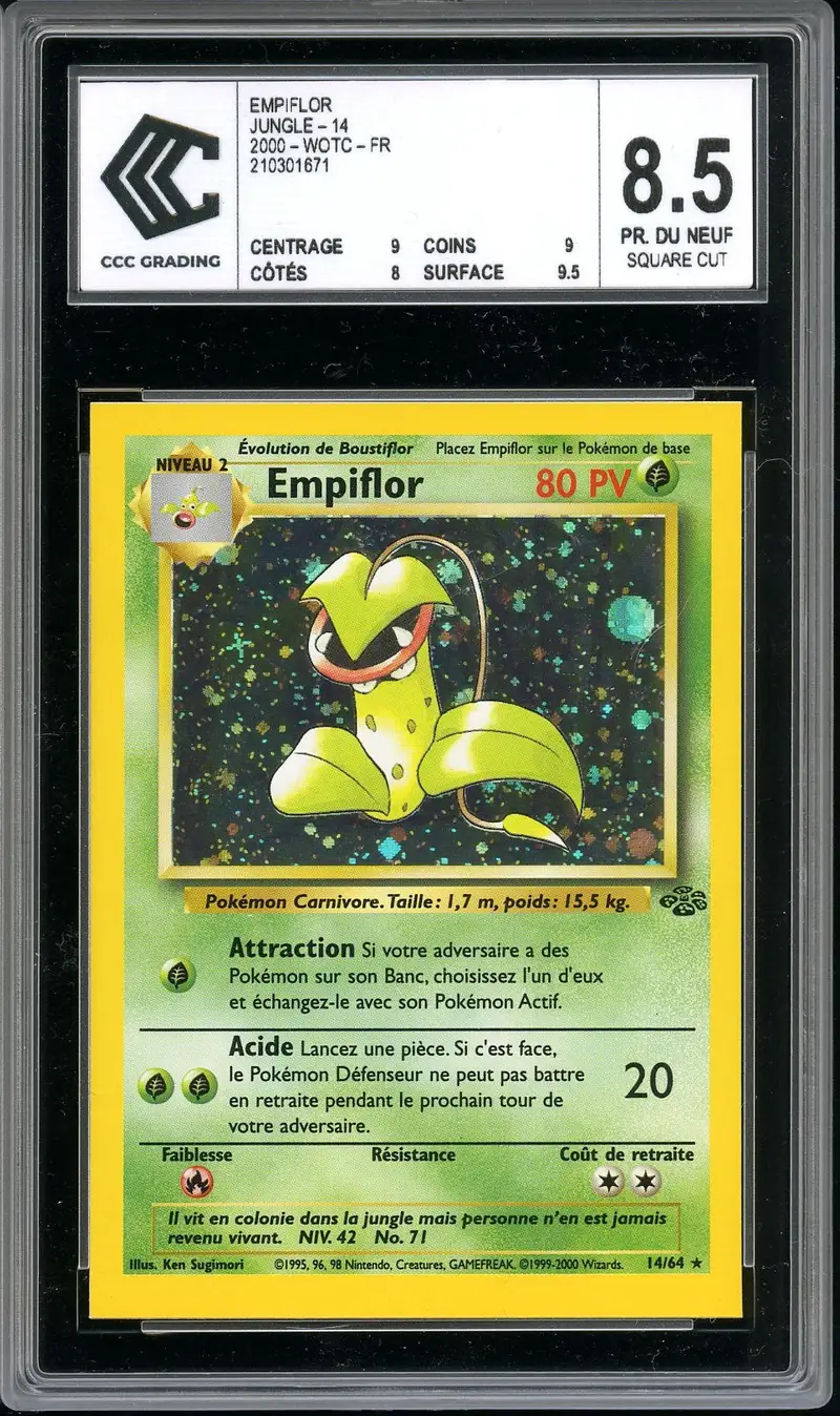 CCC 8.5 Empiflor Holo
