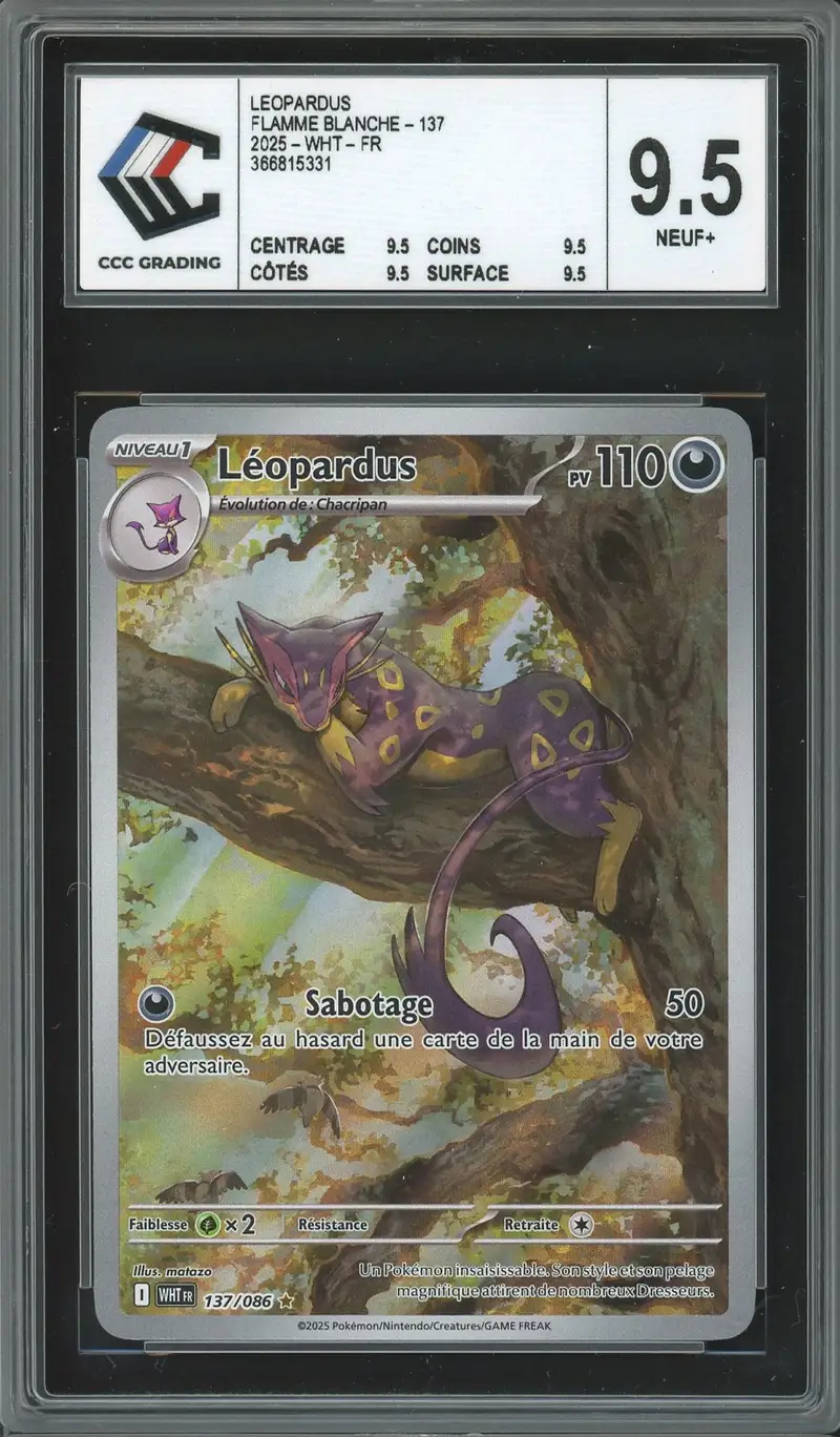 CCC 9.5 Léopardus