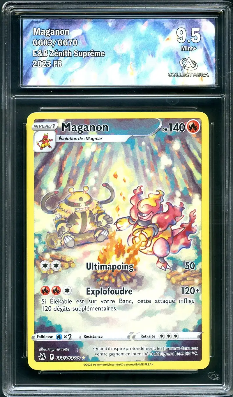 CA 9.5 Maganon