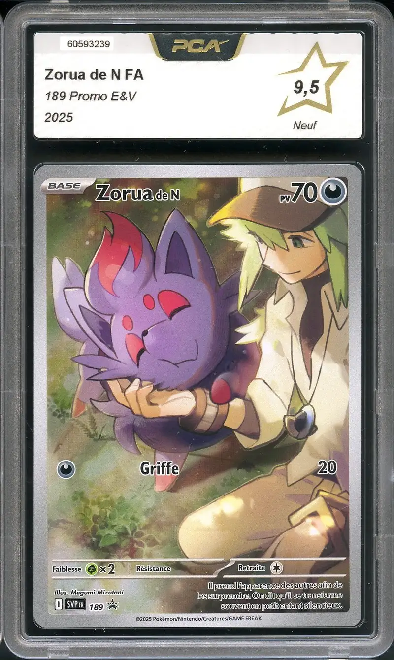 PCA 9.5 Zorua de N