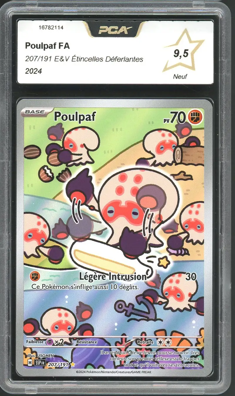 PCA 9.5 Poulpaf